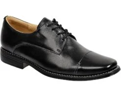 Sandro Moscoloni Maxwell